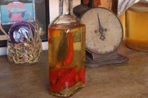Hot pepper infused vodka, ready for cocktails.