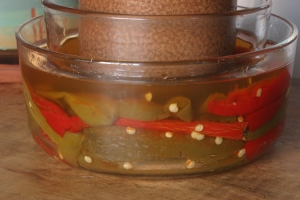 Hot peppers fermenting in a shallow bowl, capped with a smaller bowl and weighted with a heavy bottle.
