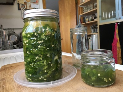 Houseproud fermented jalapeno in jars IMG_2510